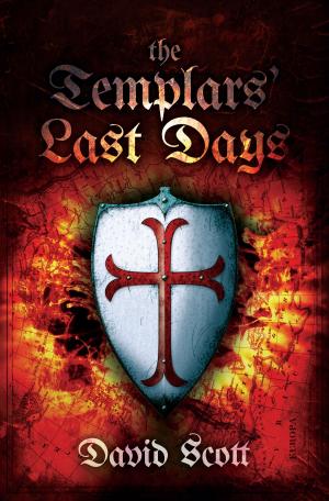 Cover of The Templars' Last Days