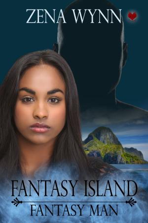 Book cover of Fantasy Island: Fantasy Man