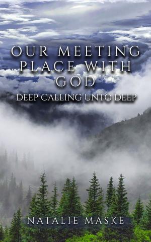 Cover of the book Our Meeting Place by John Kingsley Alley