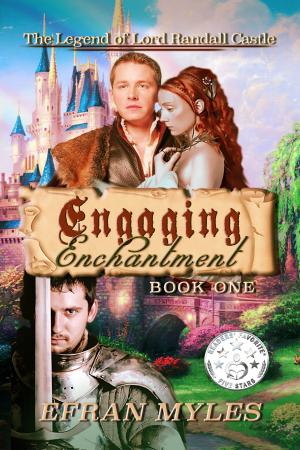 Cover of the book Engaging Enchantment by José Braz Pereira da Cruz