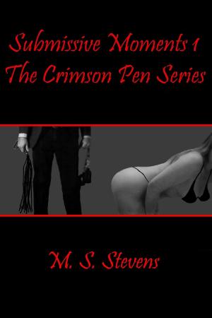 Book cover of Submissive Moments 1