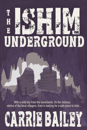 Cover of the book The Ishim Underground by Kyle West