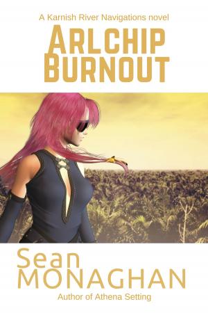 Cover of the book Arlchip Burnout by Lia Black