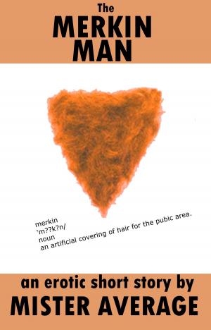Cover of the book The Merkin Man by Rose Maru