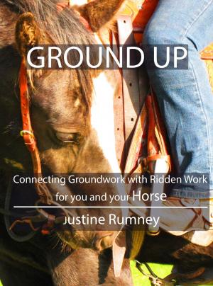 bigCover of the book Ground Up; Connecting Groundwork with Ridden Work for you and your Horse by 