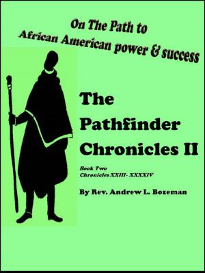 Cover of The Pathfinder Chronicles II Book Two