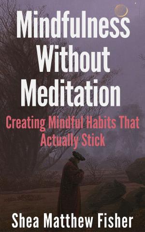Book cover of Mindfulness Without Meditation: Creating Mindful Habits That Actually Stick