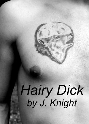 Cover of the book Hairy Dick by J. Knight