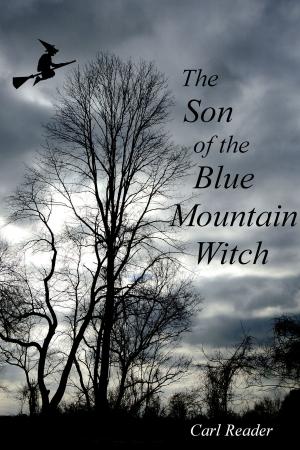 Cover of the book The Son of the Blue Mountain Witch by Emma Storm
