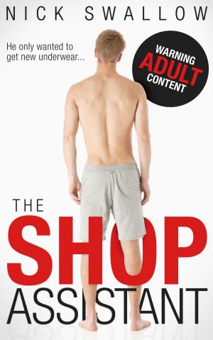 Cover of the book The Shop Assistant by David Goldon