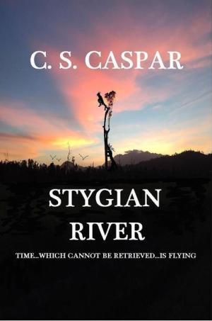 Cover of the book Stygian River by Jean Mabire
