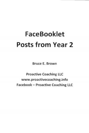 Book cover of FaceBooklet 2