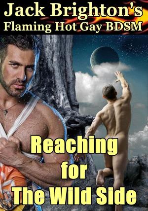 Book cover of Reaching for The Wild Side