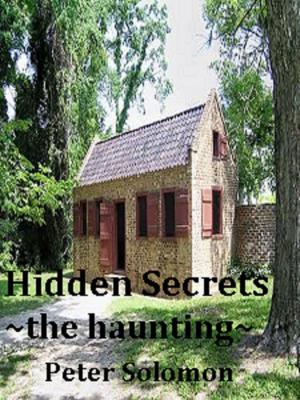 Cover of the book Hidden Secrets, The Haunting by Camille Towe