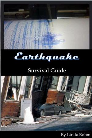 Book cover of Earthquake Survival Guide