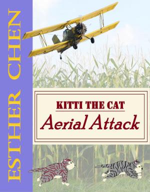 Book cover of Kitti The Cat: Aerial Attack