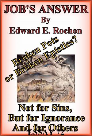 Cover of the book Job's Answer by Edward E. Rochon