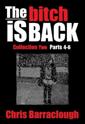 Cover of the book The Bitch Is Back Collection Two (Parts 4-6) (The Bitch Is Back British Crime Thrillers Boxset) by Debbie Viguié