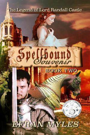 Cover of the book Spellbound Souvenir by Vicky Adin