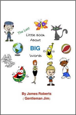Book cover of The Last Little Book About BIG Words