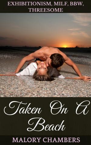 Book cover of Taken On A Beach