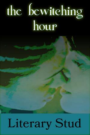 Cover of the book The Bewitching Hour by C. J. Baker