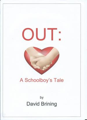 Cover of the book Out: A Schoolboy's Tale by ALEX E. ROSS