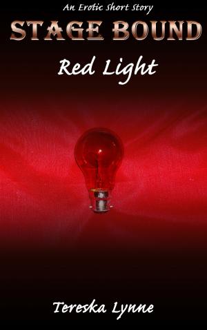 Cover of the book Red Light by M. St.Denys