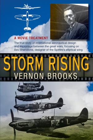 Cover of the book Storm Rising: A Movie Treatment by B.A.K. Sim