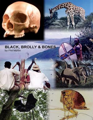 Cover of the book Black, Brolly & Bones by Jasmine Veles