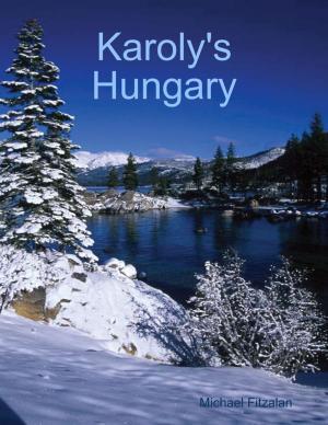 Cover of the book Karoly's Hungary by Yoav Avinur