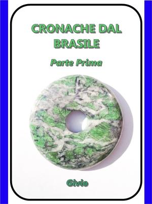 Book cover of CRONACHE DAL BRASILE - Parte Prima