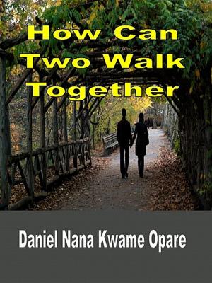 bigCover of the book How Can Two Walk Together by 