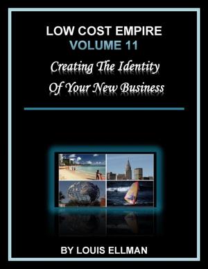 Book cover of Low Cost Empire Volume 11: Creating the Identity of Your New Business