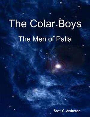 Book cover of The Colar Boys - The Men of Palla