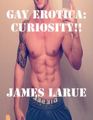 Cover of the book Gay Erotica: Curiosity!! by Lise A. Krieger