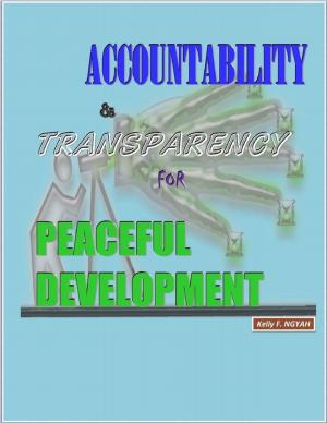 Cover of the book Accountability and Transparency for Peaceful Development by Michael Cimicata