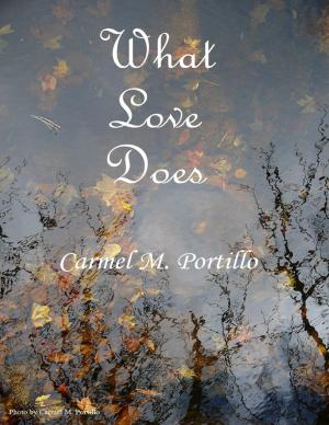Cover of the book What Love Does by Christine Bridson-Jones