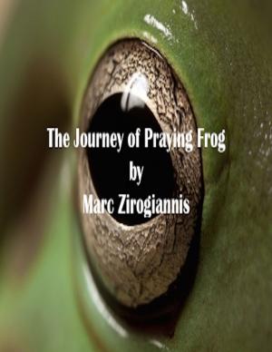 Cover of the book The Journey of Praying Frog by Larry Cochran