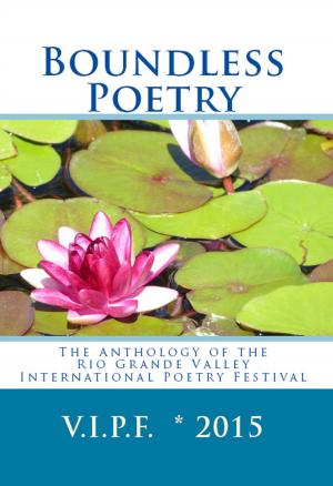 Cover of the book Boundless Poetry 2015: The Anthology of the Rio Grande Valley International Poetry Festival by Jean-Claude Ponçon, Jérôme Feugereux