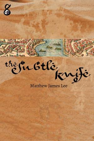 bigCover of the book The Subtle Knife by 