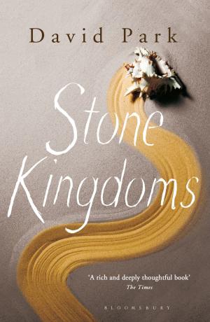 Book cover of Stone Kingdoms