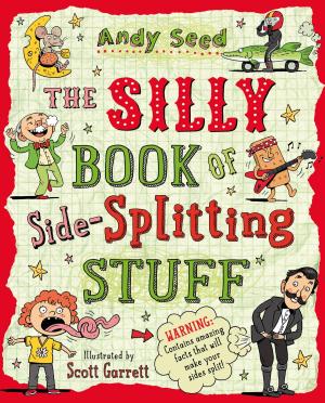 Cover of the book The Silly Book of Side-Splitting Stuff by Julia Bly DeVere
