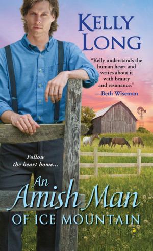 Book cover of An Amish Man of Ice Mountain