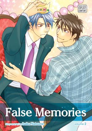 Cover of False Memories, Vol. 2 (Yaoi Manga)