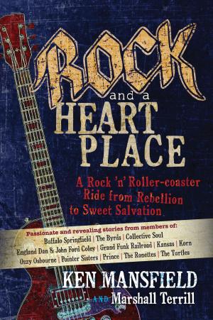 Cover of the book Rock and a Heart Place by John Bevere