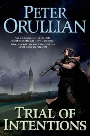 Book cover of Trial of Intentions