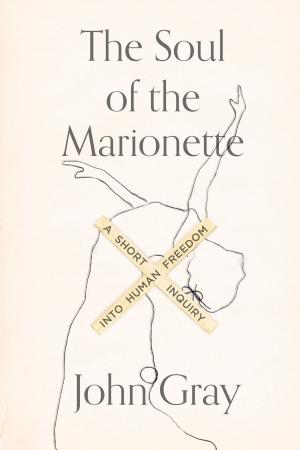 bigCover of the book The Soul of the Marionette by 