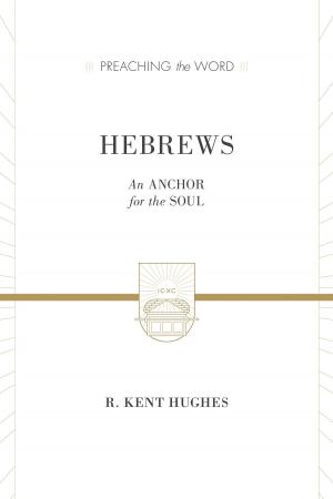 Cover of the book Hebrews (2 volumes in 1 / ESV Edition) by John Calvin