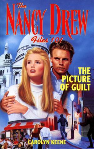 Cover of the book The Picture of Guilt by Eileen Cook